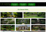 design a high converting gohighlevel website and ghl automation
